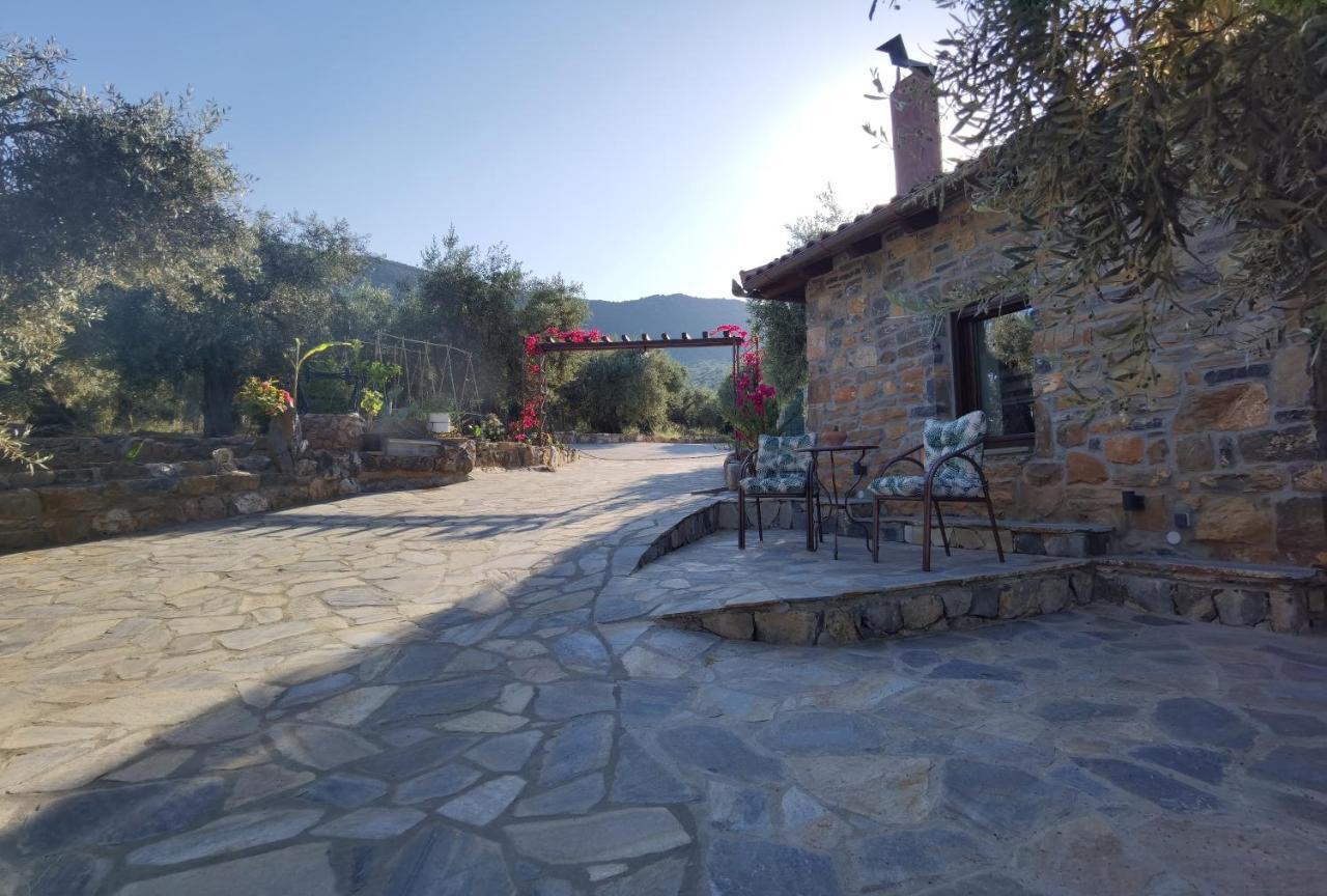 Elaion Thea2-Nies Villa Sourpi Exteriör bild